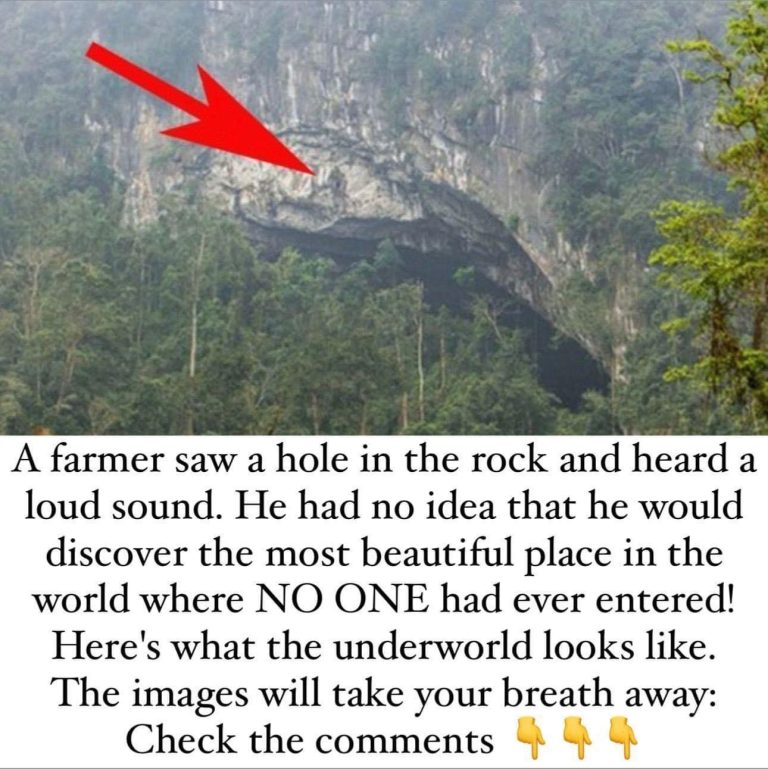 One man found a hidden cave