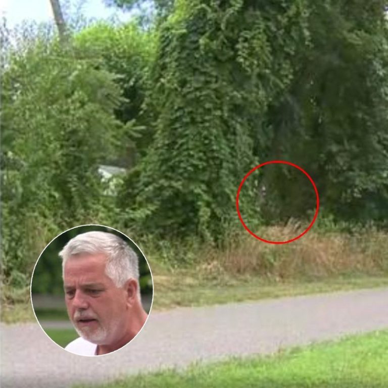 Man hears crying coming from bushes – finds newborn baby girl with umbilical cord still attached
