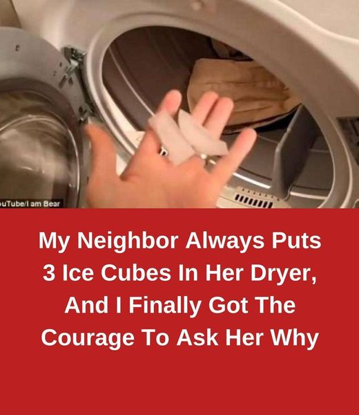 My Neighbor Always Puts 3 Ice Cubes In Her Dryer, And I Finally Got The Courage To Ask Her Why