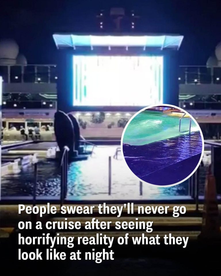 People Are Second Guessing Taking a Cruise After Seeing Reality Of What They Look Like At Night