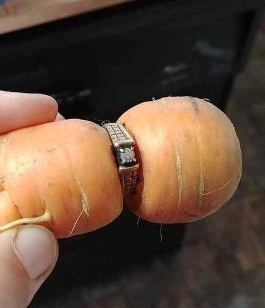 Woman Lost Her Engagement Ring While Gardening Finds It 15 Years Later Around Carrot