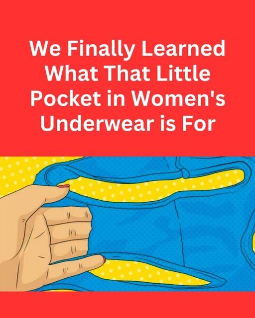 The Pocket In Women’s Underwear Actually Serves A Purpose