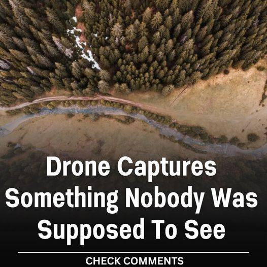 Drone captures something nobody expected to see!