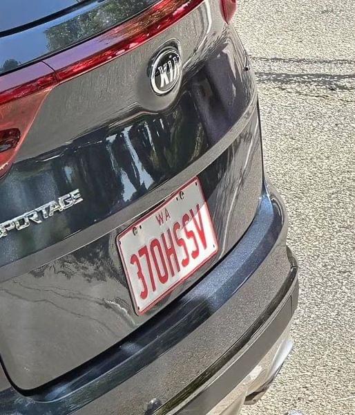 This Clever License Plate Is Making Waves for Surprising