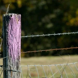 If You See A Fence Painted Purple, You Better Know What It Means – Knowing This Can Save Your Life