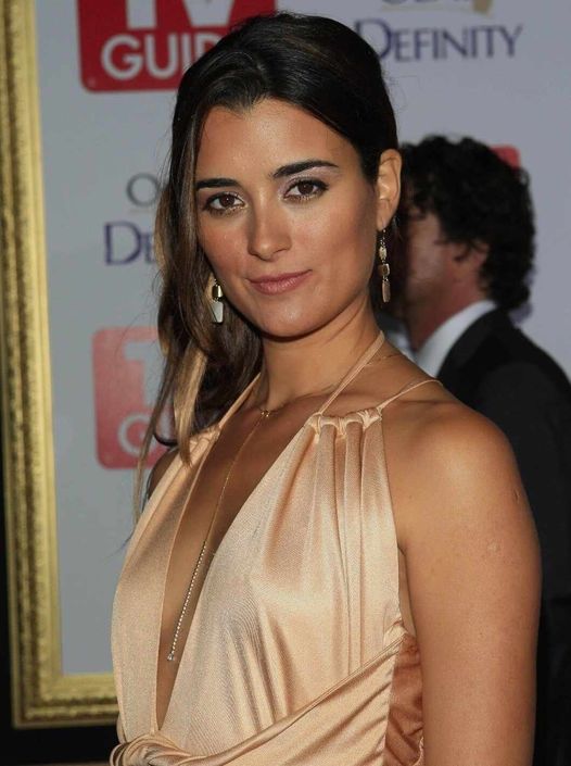 Cote De Pablo Left Nothing To Imagination, Try Not To Gasp