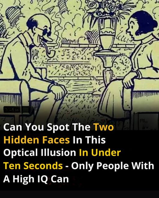 Can You Find the Two Hidden Faces Within 10 Seconds?