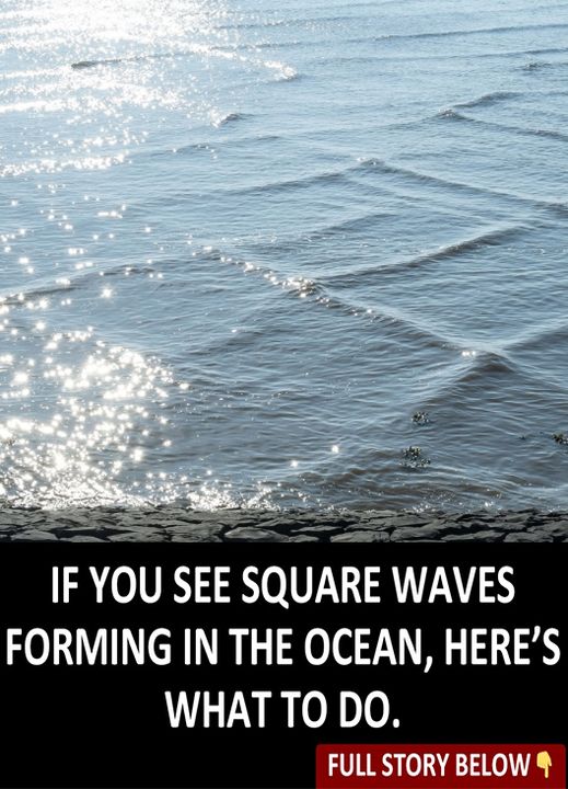 Here’s What To Do If You See Square Waves Forming In The Ocean