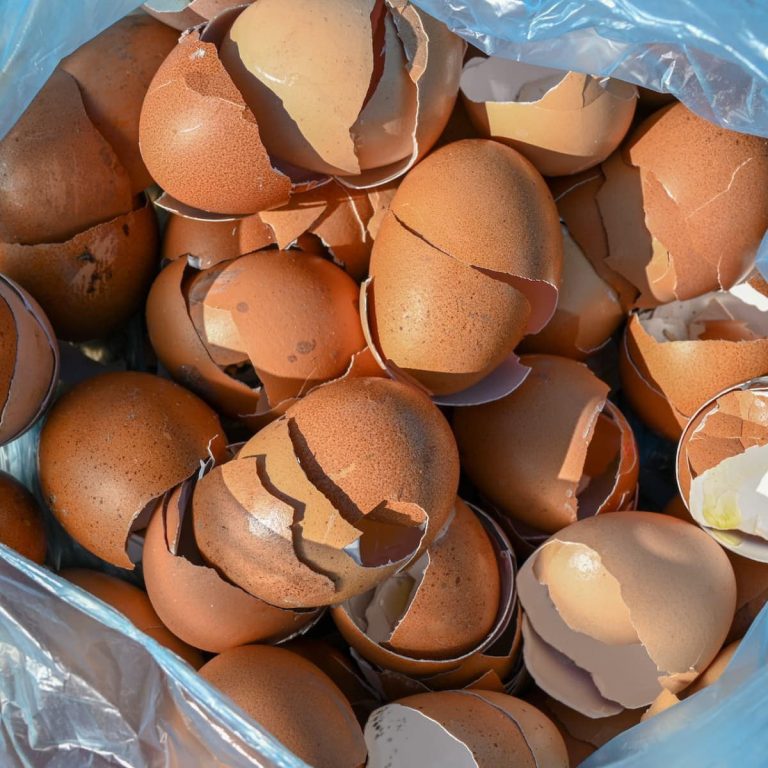 Hold on to the eggshells! This is why it’s good to keep them.