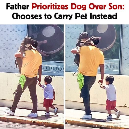 Father Prioritizes Dog Over Son: Chooses to Carry Pet Instead – News for health and chef