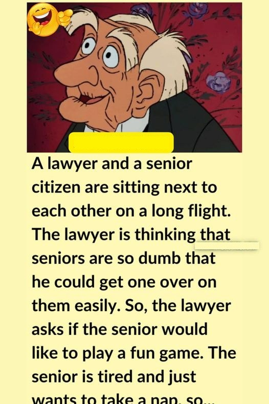 A lawyer and a senior citizen are on a plane