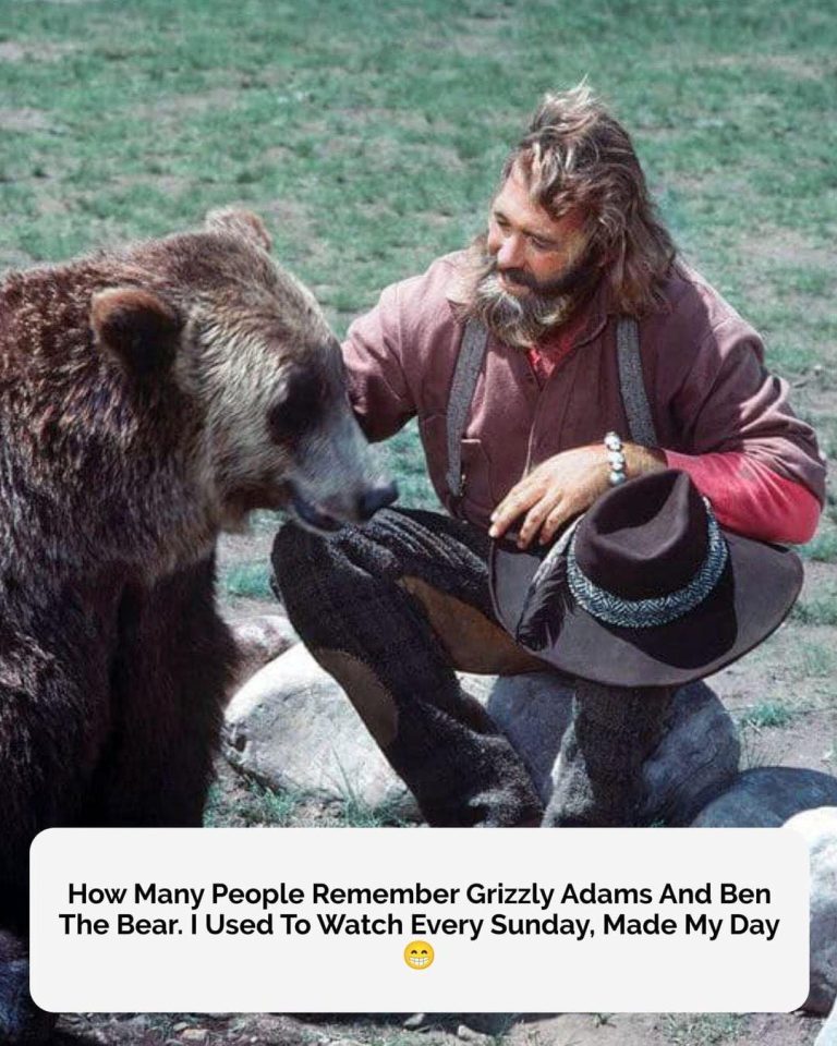 Remembering Dan Haggerty: The Gentle Mountain Man