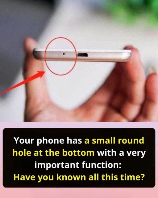 Many people still don’t know the uses of this small hole