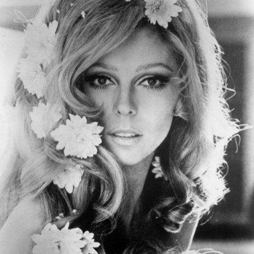 The Journey of Nancy Sinatra: Resilience, Transformation, and Success