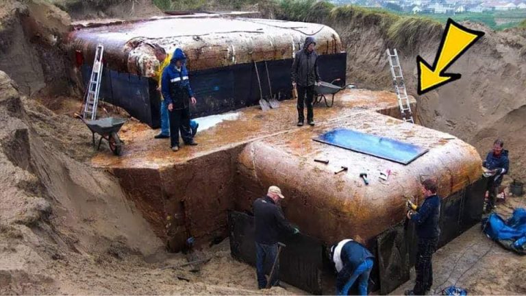 Woman Discovers Buried Bunker in Her Garden – Then She Sees Why…