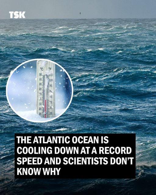 The Atlantic Ocean is cooling down at a record speed and scientists don’t know why