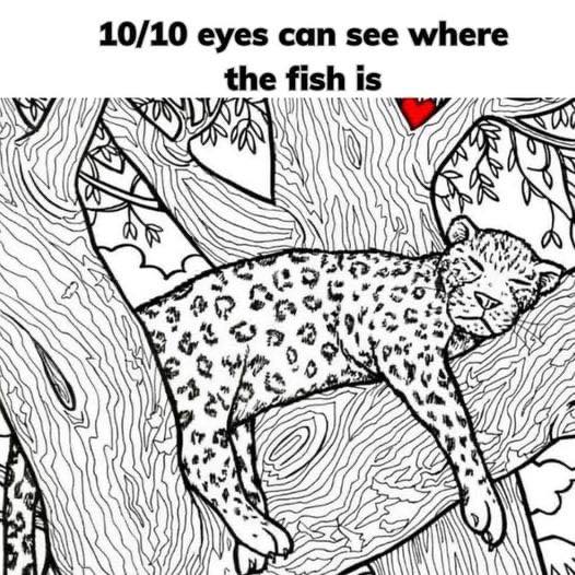 10/10 eyes can see where the fish is