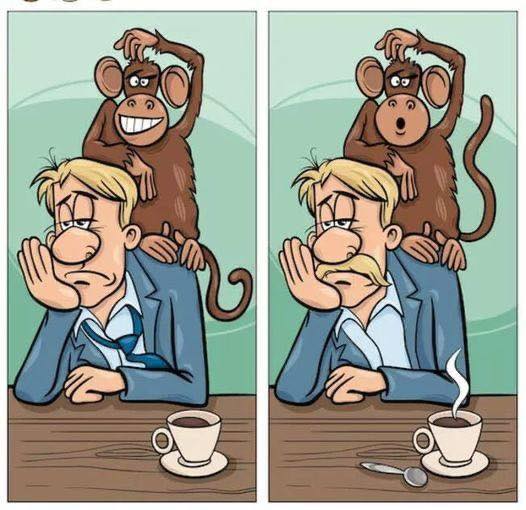 If you have AMAZING eyesight, try to find the 3 differences between these cute images.