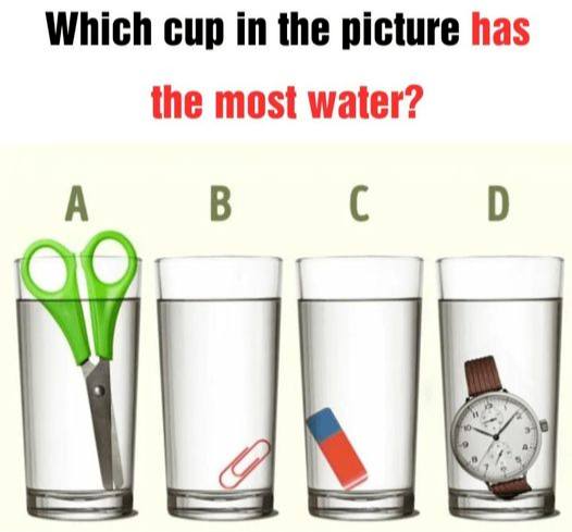 Which glass contains the largest amount of water?