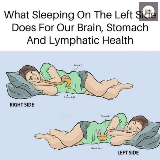 The Benefits of Sleeping on the Left Side for Brain, Stomach, and Glympathic Health